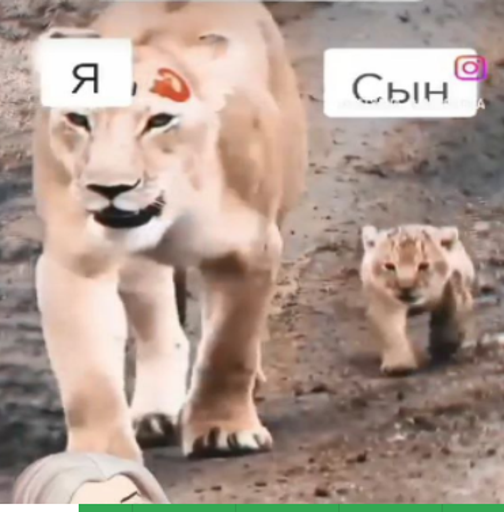 छवि 1