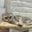 ilya_magas